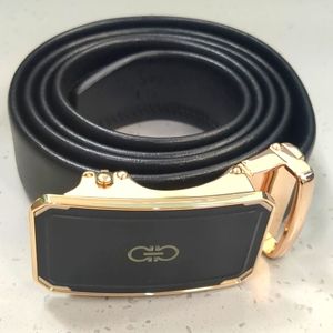 Ferragamo Belt